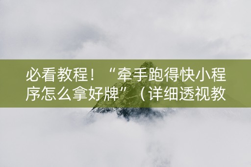 必看教程！“牵手跑得快小程序怎么拿好牌”（详细透视教程）-哔哩哔哩