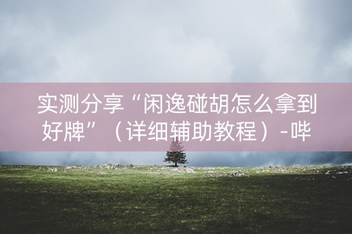 实测分享“闲逸碰胡怎么拿到好牌”（详细辅助教程）-哔哩哔哩