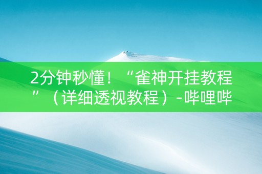 2分钟秒懂！“雀神开挂教程”（详细透视教程）-哔哩哔哩