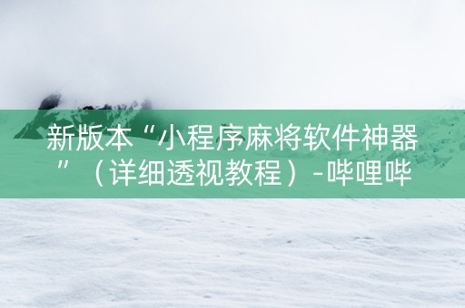 新版本“小程序麻将软件神器”（详细透视教程）-哔哩哔哩