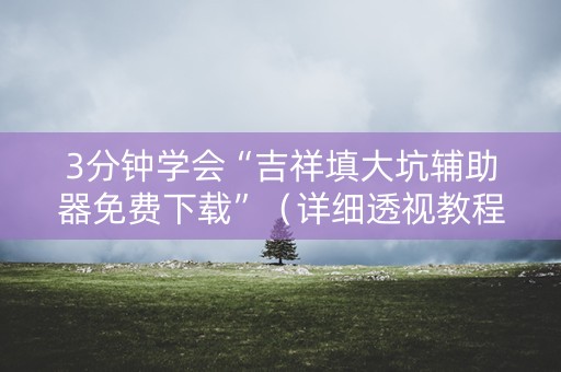 3分钟学会“吉祥填大坑辅助器免费下载”（详细透视教程）-哔哩哔哩