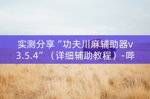 实测分享“功夫川麻辅助器v3.5.4”（详细辅助教程）-哔哩哔哩