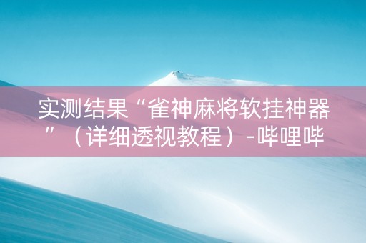 实测结果“雀神麻将软挂神器”（详细透视教程）-哔哩哔哩