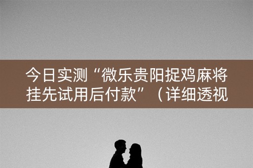今日实测“微乐贵阳捉鸡麻将挂先试用后付款”（详细透视教程）-哔哩哔哩