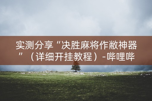 实测分享“决胜麻将作敝神器”（详细开挂教程）-哔哩哔哩