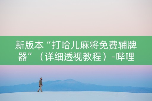 新版本“打哈儿麻将免费辅牌器”（详细透视教程）-哔哩哔哩