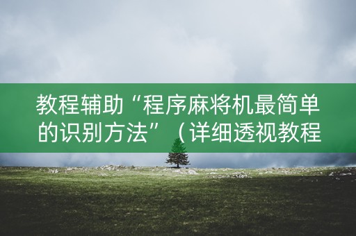 教程辅助“程序麻将机最简单的识别方法”（详细透视教程）-哔哩哔哩