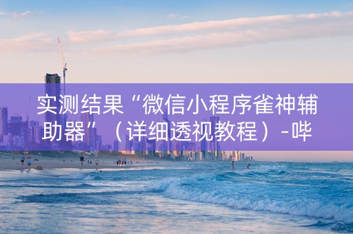 实测结果“微信小程序雀神辅助器”（详细透视教程）-哔哩哔哩