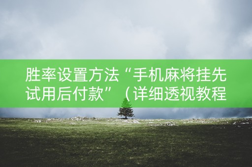胜率设置方法“手机麻将挂先试用后付款”（详细透视教程）-哔哩哔哩