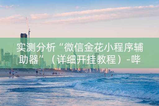实测分析“微信金花小程序辅助器”（详细开挂教程）-哔哩哔哩