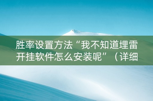 胜率设置方法“我不知道埋雷开挂软件怎么安装呢”（详细透视教程）-哔哩哔哩