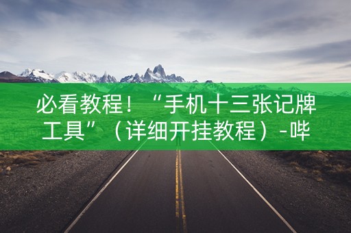 必看教程！“手机十三张记牌工具”（详细开挂教程）-哔哩哔哩