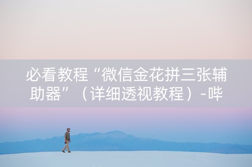 必看教程“微信金花拼三张辅助器”（详细透视教程）-哔哩哔哩