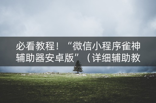 必看教程！“微信小程序雀神辅助器安卓版”（详细辅助教程）-哔哩哔哩