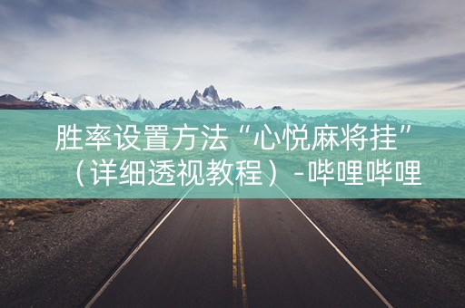 胜率设置方法“心悦麻将挂”（详细透视教程）-哔哩哔哩