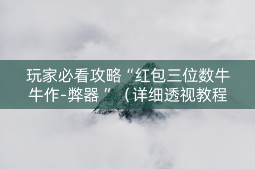 玩家必看攻略“红包三位数牛牛作-弊器 ”（详细透视教程）-哔哩哔哩