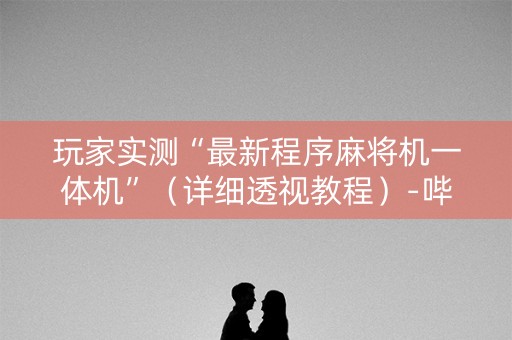 玩家实测“最新程序麻将机一体机”（详细透视教程）-哔哩哔哩
