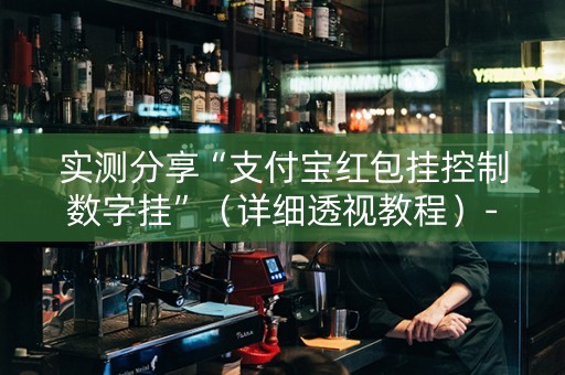 实测分享“支付宝红包挂控制数字挂”（详细透视教程）-哔哩哔哩