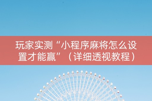 玩家实测“小程序麻将怎么设置才能赢”（详细透视教程）-哔哩哔哩