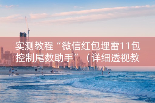实测教程“微信红包埋雷11包控制尾数助手”（详细透视教程）-哔哩哔哩