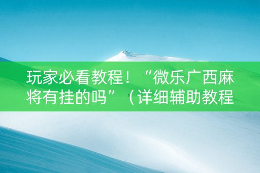 玩家必看教程！“微乐广西麻将有挂的吗”（详细辅助教程）-哔哩哔哩