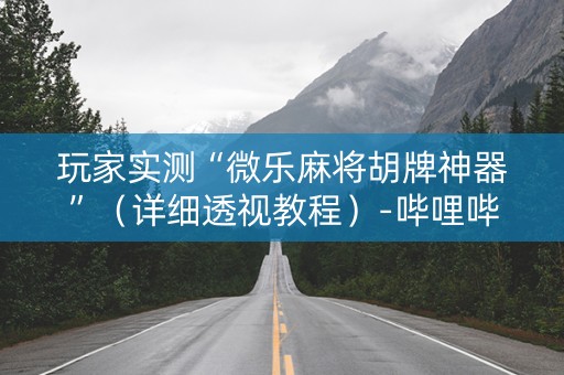 玩家实测“微乐麻将胡牌神器”（详细透视教程）-哔哩哔哩