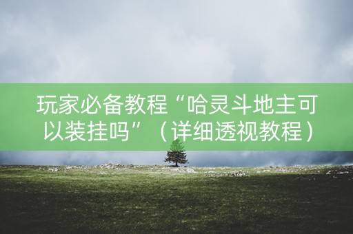 玩家必备教程“哈灵斗地主可以装挂吗”（详细透视教程）-哔哩哔哩