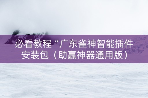 必看教程“广东雀神智能插件安装包（助赢神器通用版）