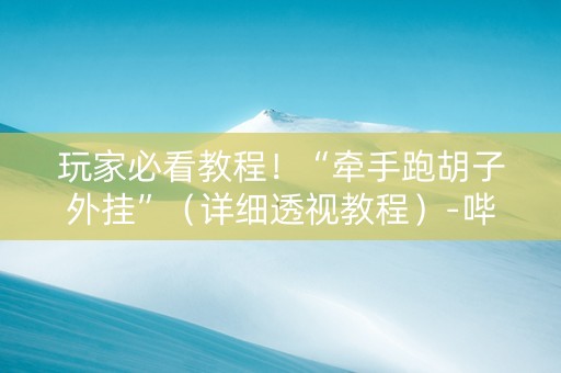 玩家必看教程！“牵手跑胡子外挂”（详细透视教程）-哔哩哔哩