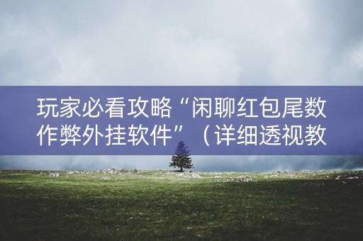 玩家必看攻略“闲聊红包尾数作弊外挂软件”（详细透视教程）-哔哩哔哩