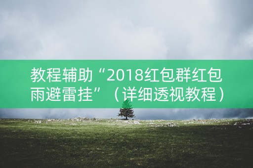 教程辅助“2018红包群红包雨避雷挂”（详细透视教程）-哔哩哔哩