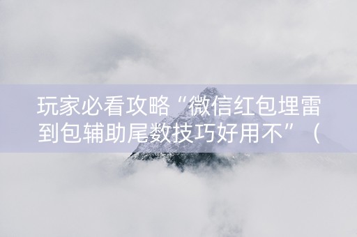 玩家必看攻略“微信红包埋雷到包辅助尾数技巧好用不”（详细透视教程）-哔哩哔哩
