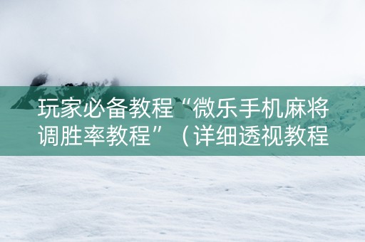 玩家必备教程“微乐手机麻将调胜率教程”（详细透视教程）-哔哩哔哩