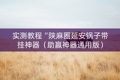 实测教程“陕麻圈延安锅子带挂神器（助赢神器通用版）