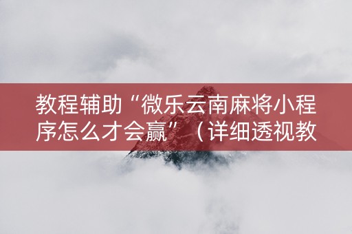 教程辅助“微乐云南麻将小程序怎么才会赢”（详细透视教程）-哔哩哔哩