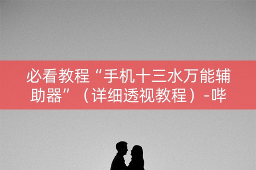 必看教程“手机十三水万能辅助器”（详细透视教程）-哔哩哔哩