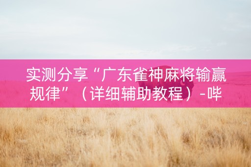 实测分享“广东雀神麻将输赢规律”（详细辅助教程）-哔哩哔哩