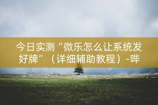 今日实测“微乐怎么让系统发好牌”（详细辅助教程）-哔哩哔哩