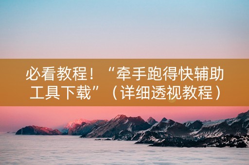 必看教程！“牵手跑得快辅助工具下载”（详细透视教程）-哔哩哔哩