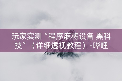 玩家实测“程序麻将设备 黑科技”（详细透视教程）-哔哩哔哩