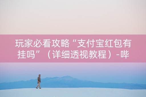 玩家必看攻略“支付宝红包有挂吗”（详细透视教程）-哔哩哔哩