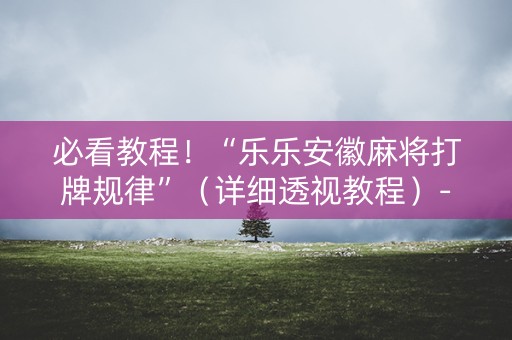 必看教程！“乐乐安徽麻将打牌规律”（详细透视教程）-哔哩哔哩