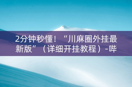2分钟秒懂！“川麻圈外挂最新版”（详细开挂教程）-哔哩哔哩
