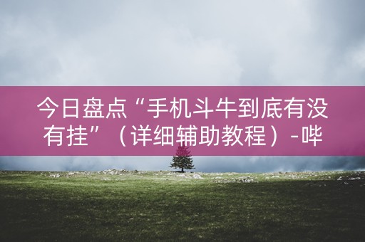 今日盘点“手机斗牛到底有没有挂”（详细辅助教程）-哔哩哔哩