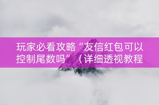 玩家必看攻略“友信红包可以控制尾数吗”（详细透视教程）-哔哩哔哩