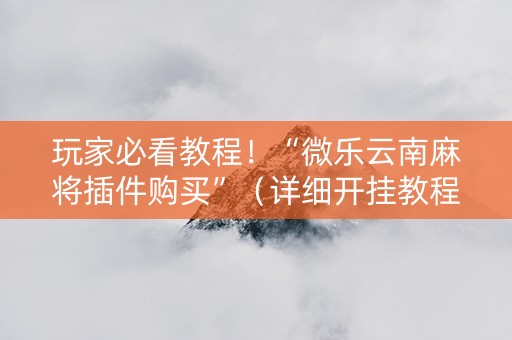 玩家必看教程！“微乐云南麻将插件购买”（详细开挂教程）-哔哩哔哩