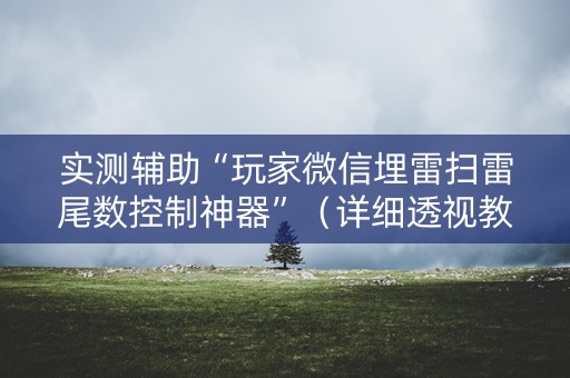 实测辅助“玩家微信埋雷扫雷尾数控制神器”（详细透视教程）-哔哩哔哩