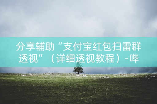 分享辅助“支付宝红包扫雷群透视”（详细透视教程）-哔哩哔哩