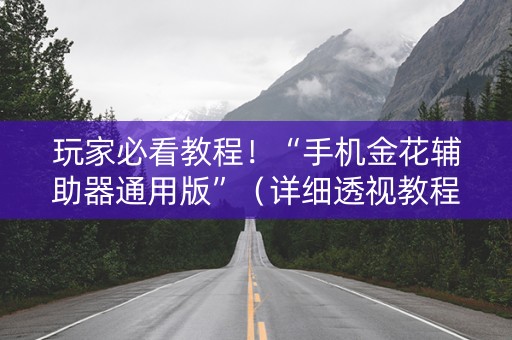 玩家必看教程！“手机金花辅助器通用版”（详细透视教程）-哔哩哔哩