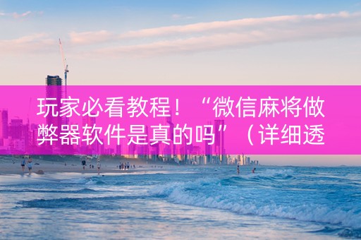 玩家必看教程！“微信麻将做弊器软件是真的吗”（详细透视教程）-哔哩哔哩